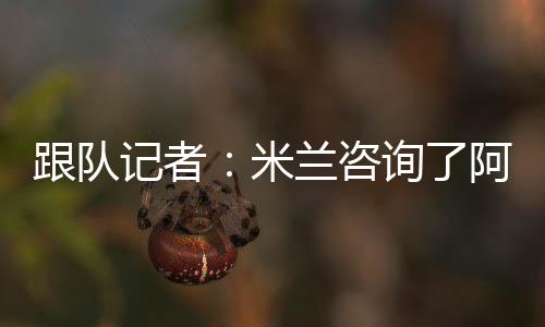 展现出不俗的咨询潜力
