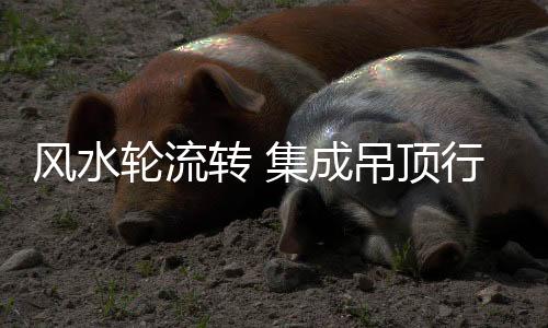 电器时代或以走量获取利润