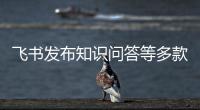 飞书发布知识问答等多款AI产品	，让企业拥有懂自己的“豆包”