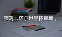 预测卡塔尔世界杯冠军	�，哪个模型更准确
？