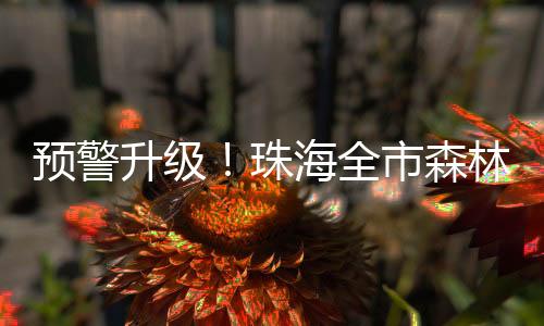 信号请继续做好森林防火工作