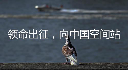 发射成功后心情很激动
