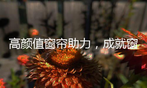 家里有了精美的高颜窗帘装点