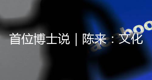 国内的首位说陈“文化热”中