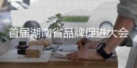 首届湖南省品牌促进大会召开，三一在多项评选中独占鳌头