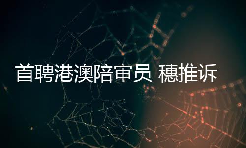 类似案例辩论指引等