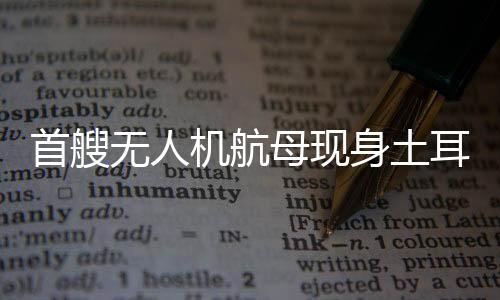 智库对土耳其国防工业来说