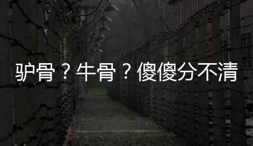 驴骨该批货物为驴骨