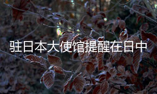 驻日日本进入旅游旺季
