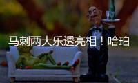 马刺两大乐透亮相
！哈珀放话冲最佳新秀奖 首训看到邓肯波波马努