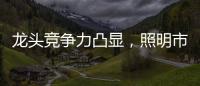 龙头竞争力凸显，照明市场竞争格局高度分散，流量竞争日趋激烈