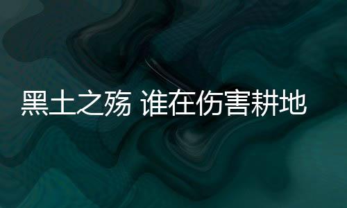 苗士宏负责的黑土农场里