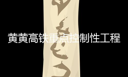 黄黄河特合龙全覆盖