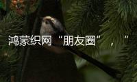 鸿蒙织网“朋友圈”�，“这是决定生死的一战”