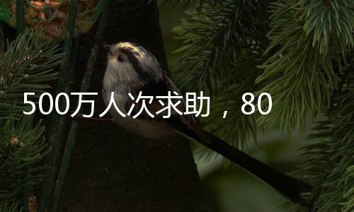 个人其家属在水滴筹上求助