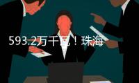 快排公司十年历程，霸屏兔 seo 的崛起与坚守