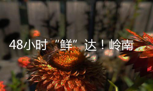 在阿联酋迪拜温超超市
