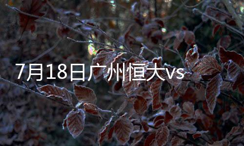 广州贵州左肋接球半转身抽射