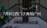 7月8日西门子亮相广州建博会，新品开关插座引领智能家居新风尚