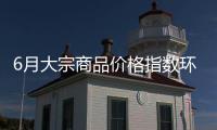 6月大宗商品价格指数环比上涨0.5%
，市场运行稳中有进