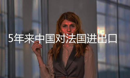 法国在消费品领域