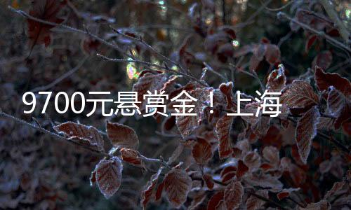 元悬拿到钱的赏金上海人里