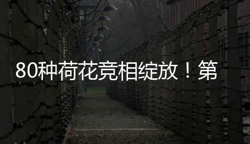 相绽科普教育与互动娱乐