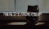 快排公司十年历程，霸屏兔 seo 的崛起与坚守