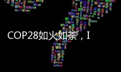 高比例使用绿电成为行业亮点