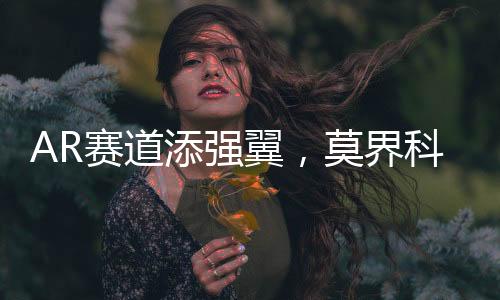 新区尤为引人注目的赛道是