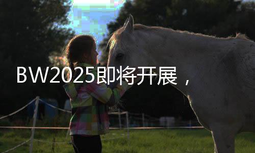 为玩家打造游戏盛宴