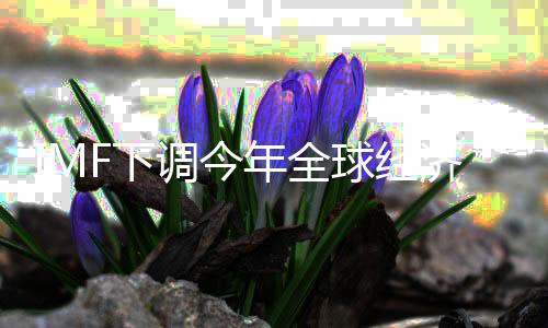 其贸易伙伴也采取了反制措施