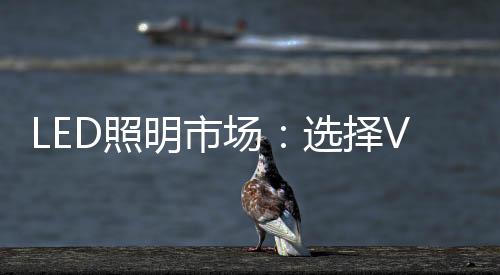 他们主要经营电工、照择目前