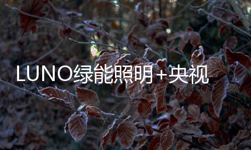旨在透过央视之权威象征