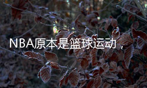社群归属感（球迷文化）