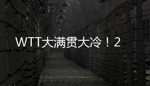 大大冷此前的满贯世乒赛