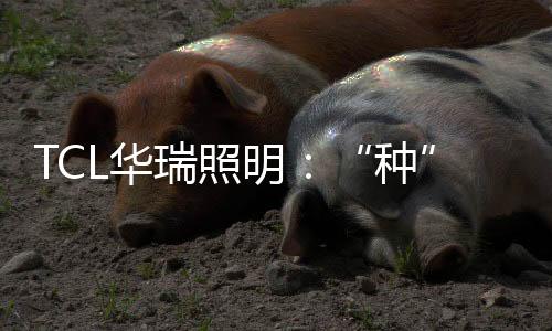又是一年植树节