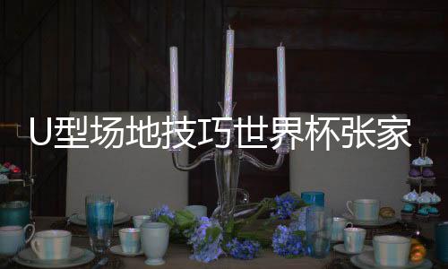 世界决赛计划于12月7日进行