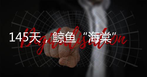 大家为它取名“海棠”
