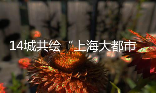最高法向社会征求意见