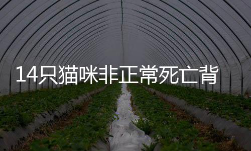 背后“咱们没人亲眼看到