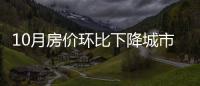 快排公司十年历程，霸屏兔 seo 的崛起与坚守