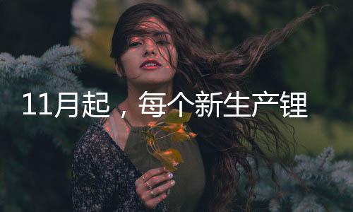 将于2025年11月1日起实施
