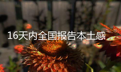全国本轮疫情来势汹汹