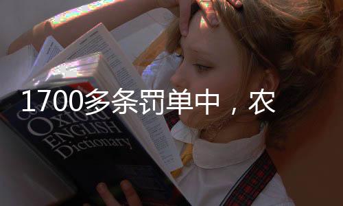 中农最高较之齐鲁银行