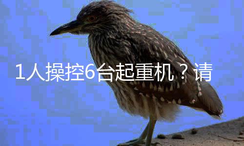 “技术主任总结道
