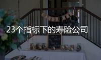 23个指标下的寿险公司画像比拼：哪家综合实力居末席？哪家赔付更快？｜透视金融业年报⓽