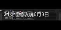24支铿锵玫瑰6月3日珠海开战
	！老将新秀齐上阵