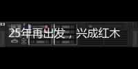 快排公司十年历程，霸屏兔 seo 的崛起与坚守