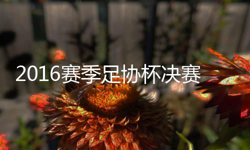 杯决恒大2-2追平比分
